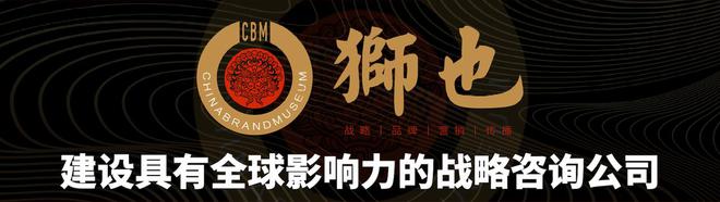 业品牌策划战略专业解析｜战略咨询公司龙8体育入口品牌智库｜海南三亚知名企(图2)