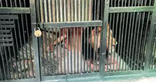 坠落身亡“只为拍一张精彩的照片”！long8唯一中国网站新西兰游客(图3)