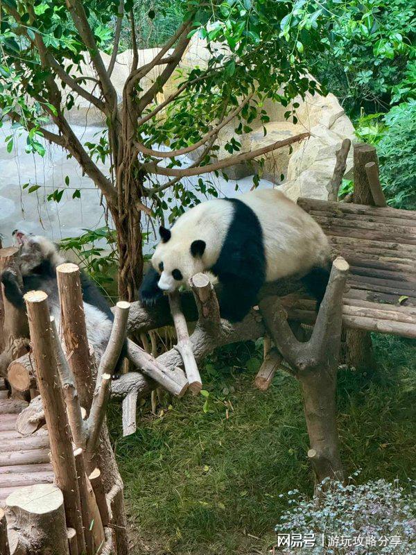 几月份去旅游景点 玩转精华！成都的著名景点推荐 四川适合(图3)